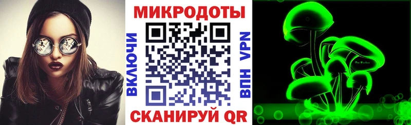 Псилоцибиновые грибы Cubensis  блэк спрут ссылки  Южа  наркошоп 